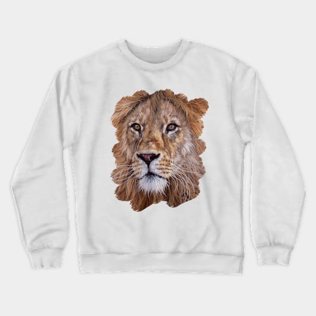 African Lion Painting Crewneck Sweatshirt by rachelstribbling